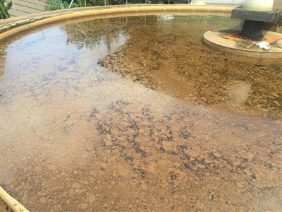 Atıksu Arıtma Aerobik Tanklarında Yüzen Çamur